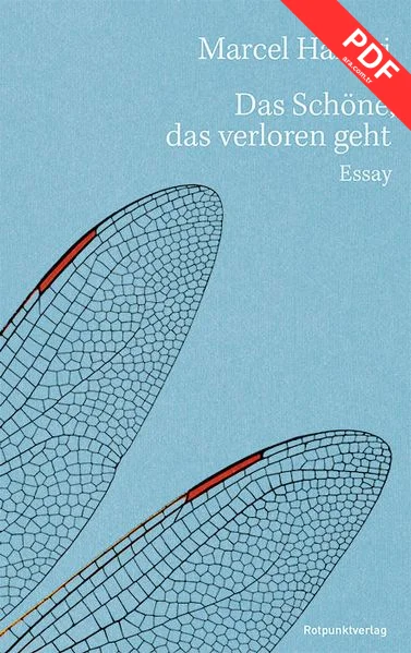 Das Schöne, das verloren geht PDF indir