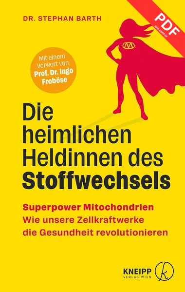 Die heimlichen Heldinnen des Stoffwechsels