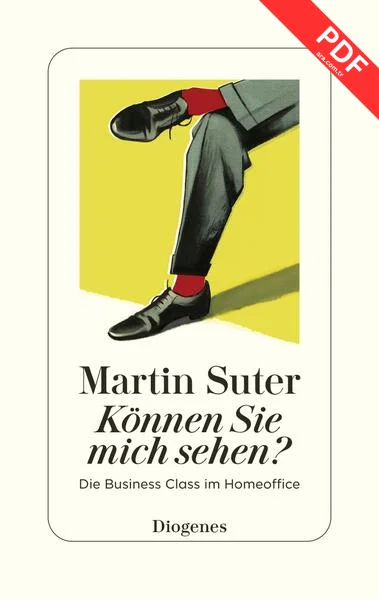 Können Sie mich sehen? PDF indir